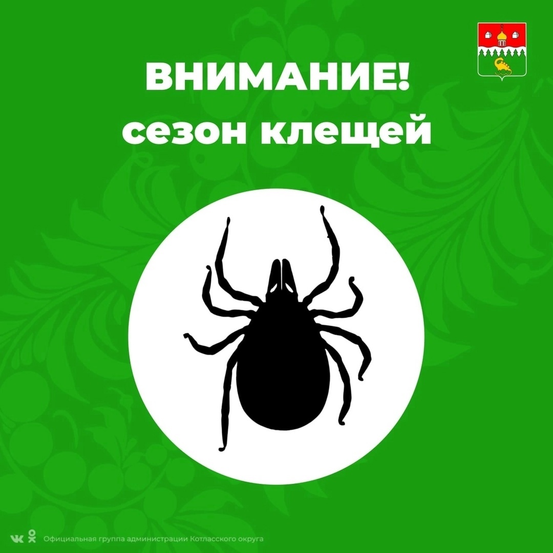 Число пострадавших от укусов клещей в два раза больше, чем в прошлом году.
