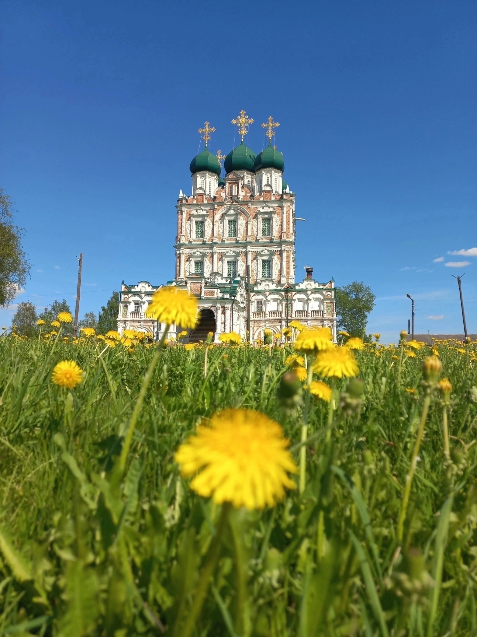 Сегодня наш любимый Котласский район празднует вековой юбилей.